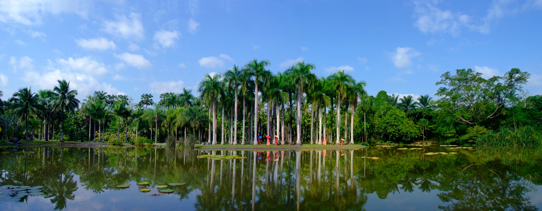 西双版纳热带植物园