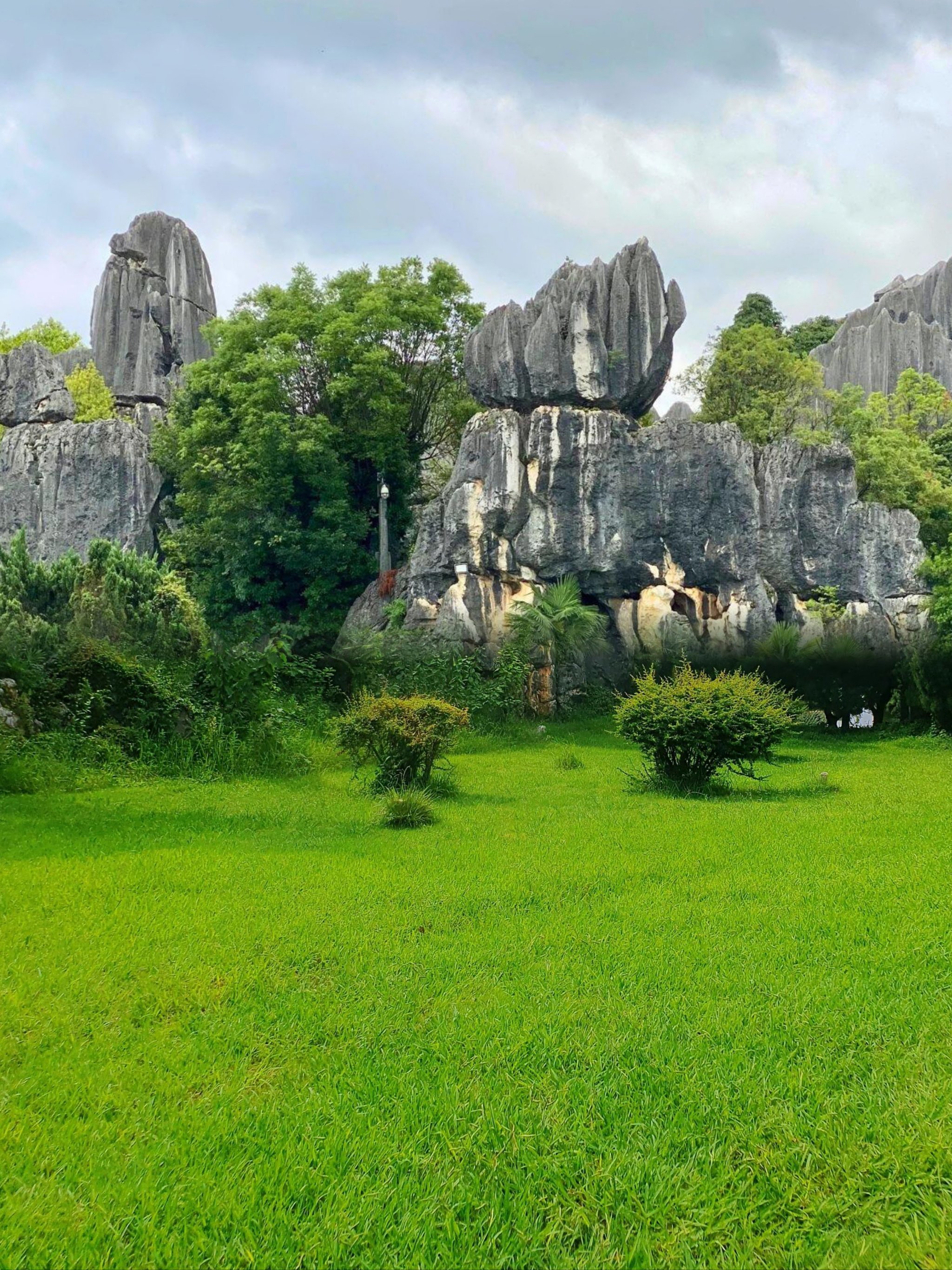 石林
