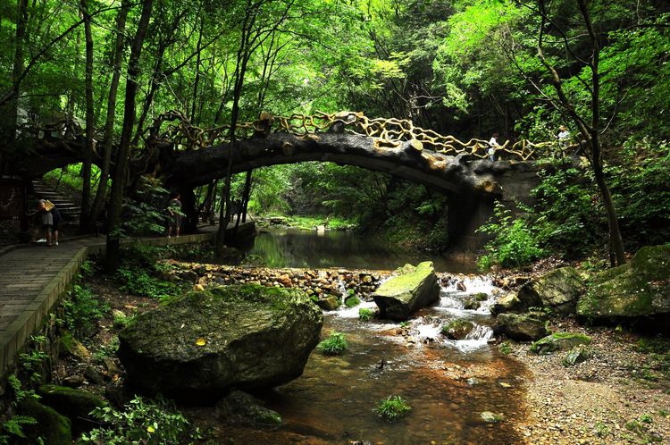 金丝峡