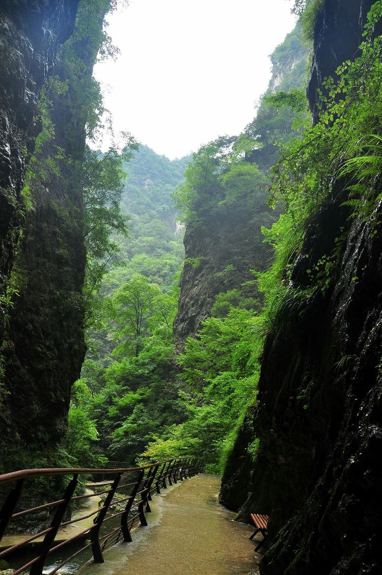 金丝峡