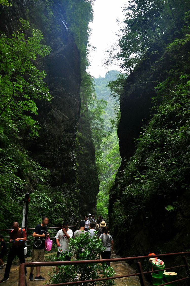 金丝峡