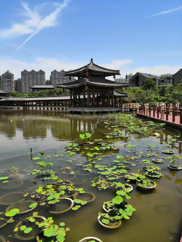 大雁塔·大唐芙蓉园
