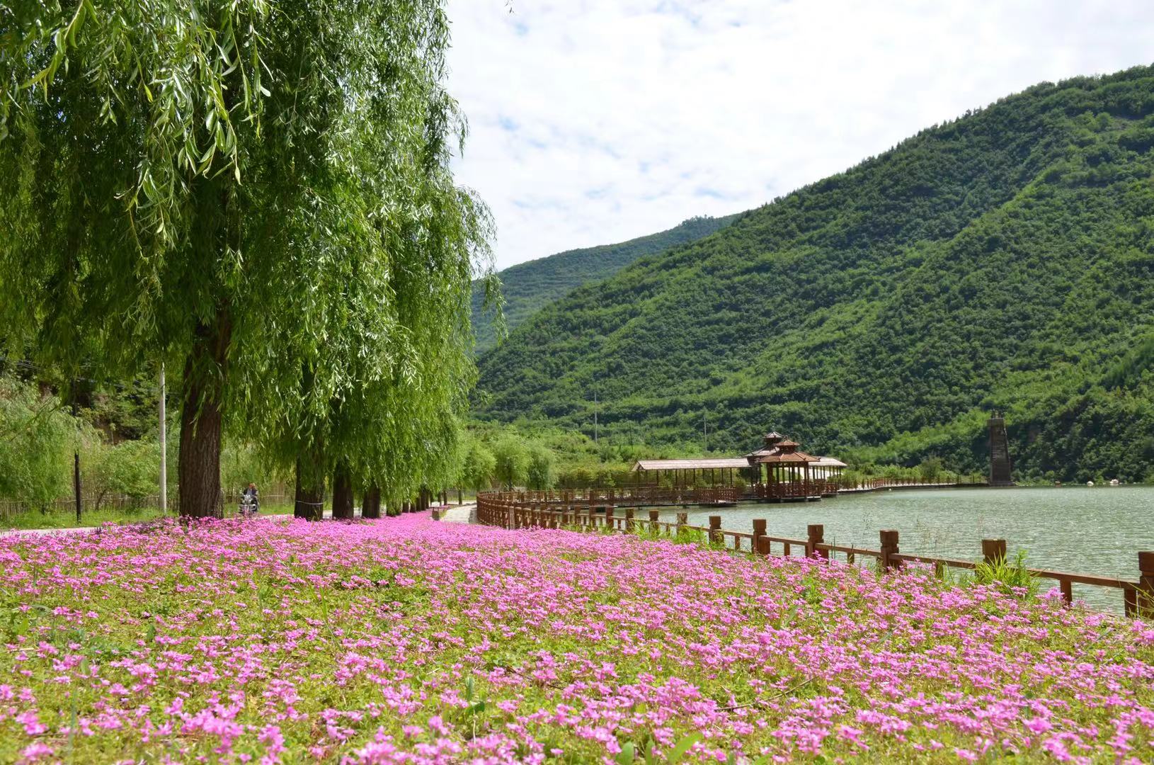 官鹅沟
