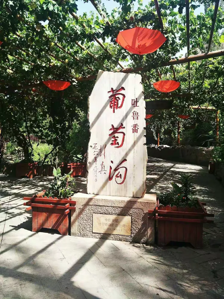 葡萄沟