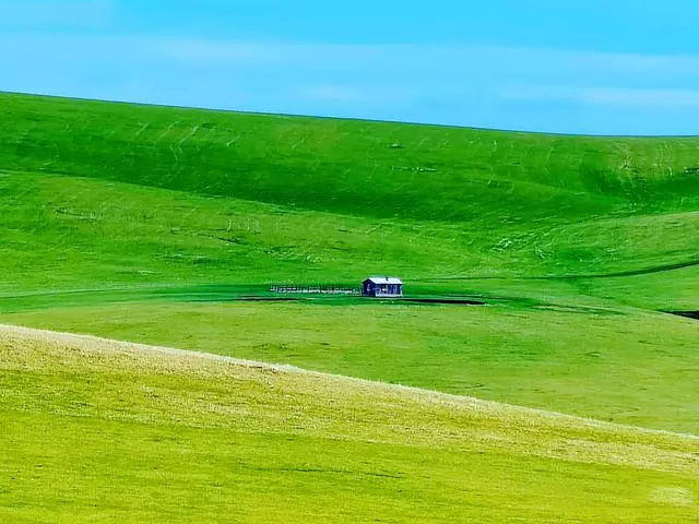 呼伦贝尔草原