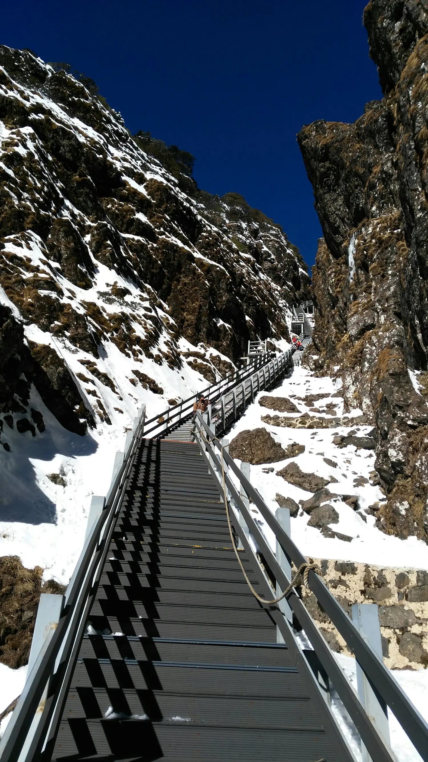轿子雪山