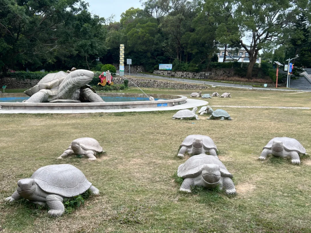 南澳岛