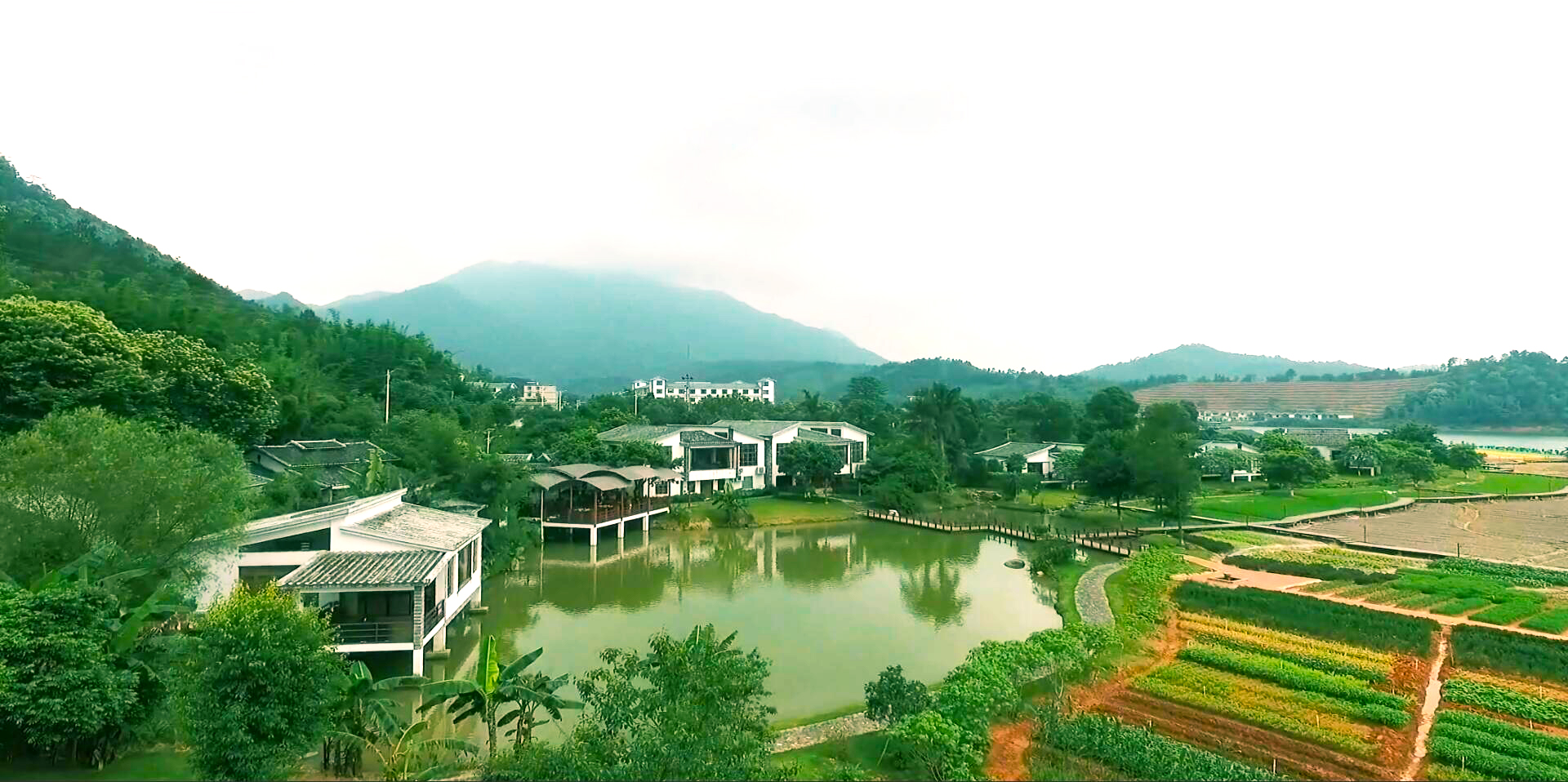 万绿湖