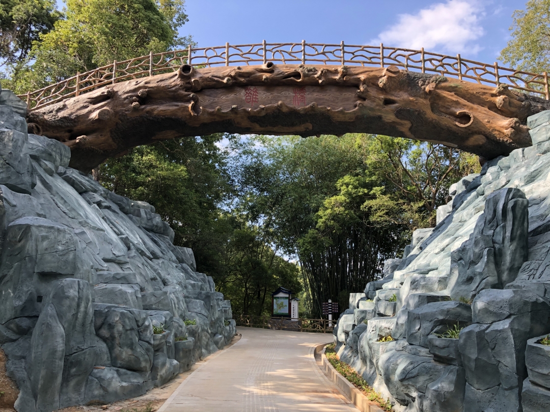 万绿湖