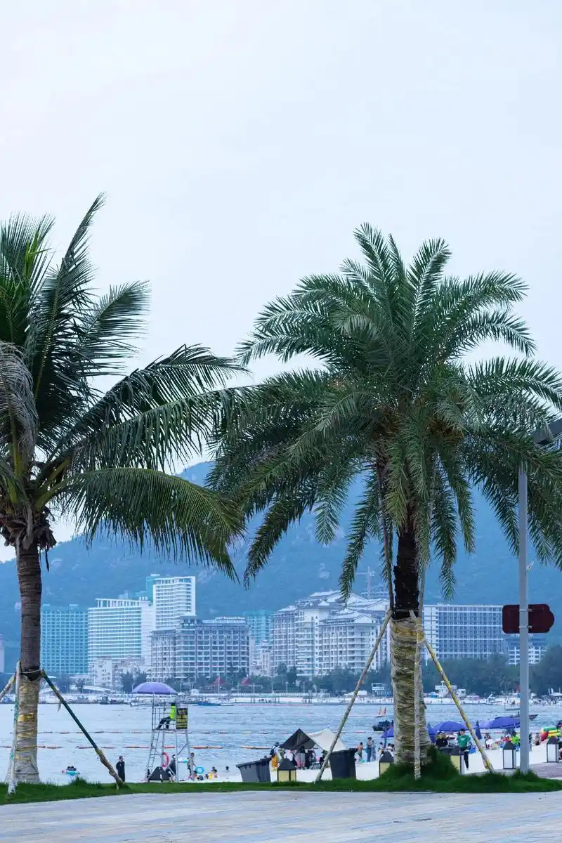 巽寮湾