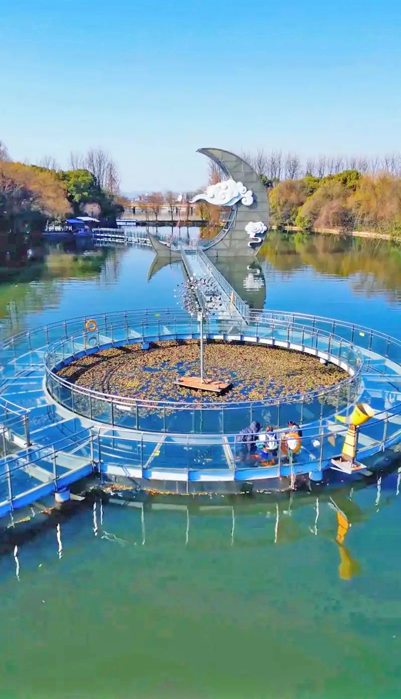 柯岩
