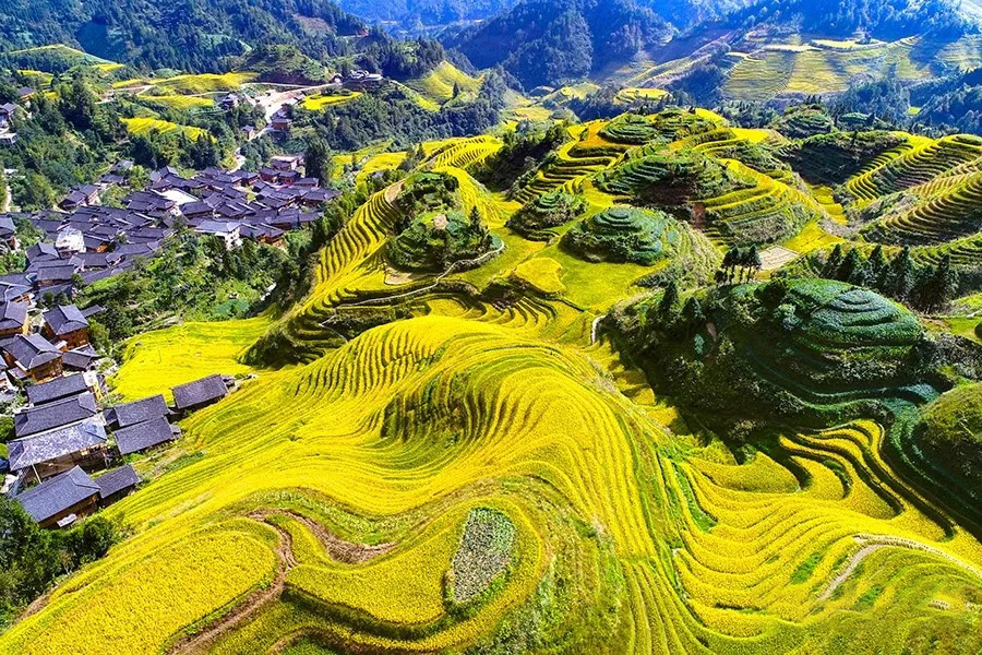 龙脊梯田