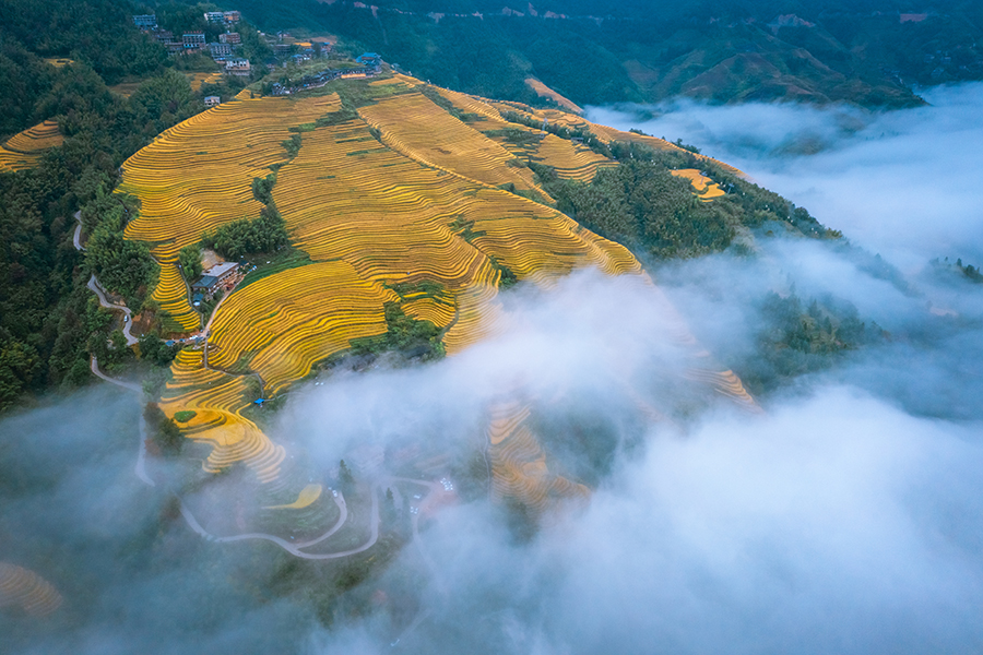 龙脊梯田