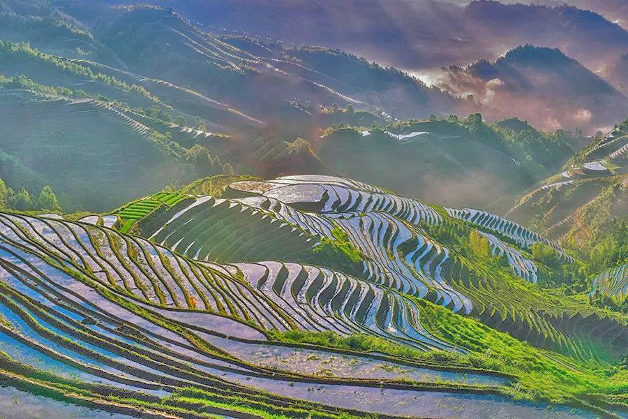 龙脊梯田