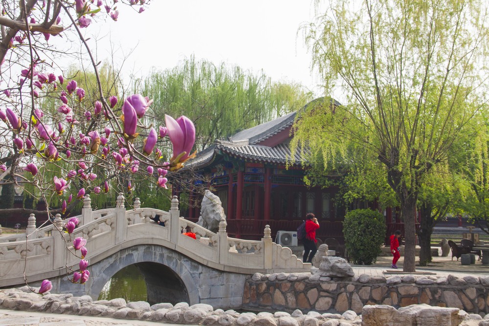 隆兴寺