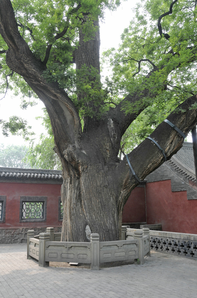 晋祠