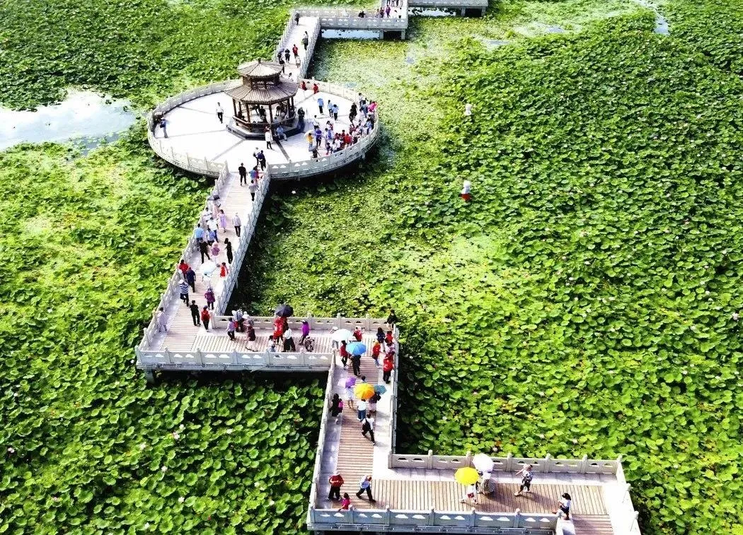 白银黄河湿地公园