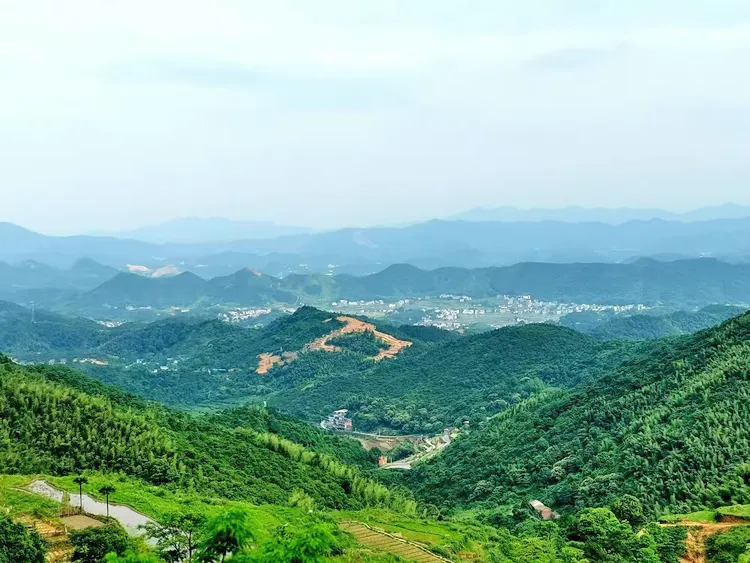 杨岐山