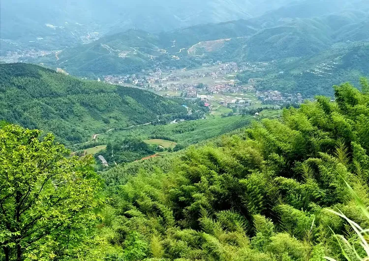 杨岐山