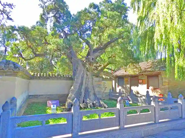 嵩阳书院