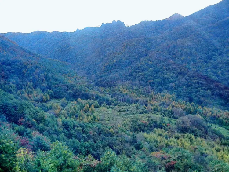 张良庙-紫柏山