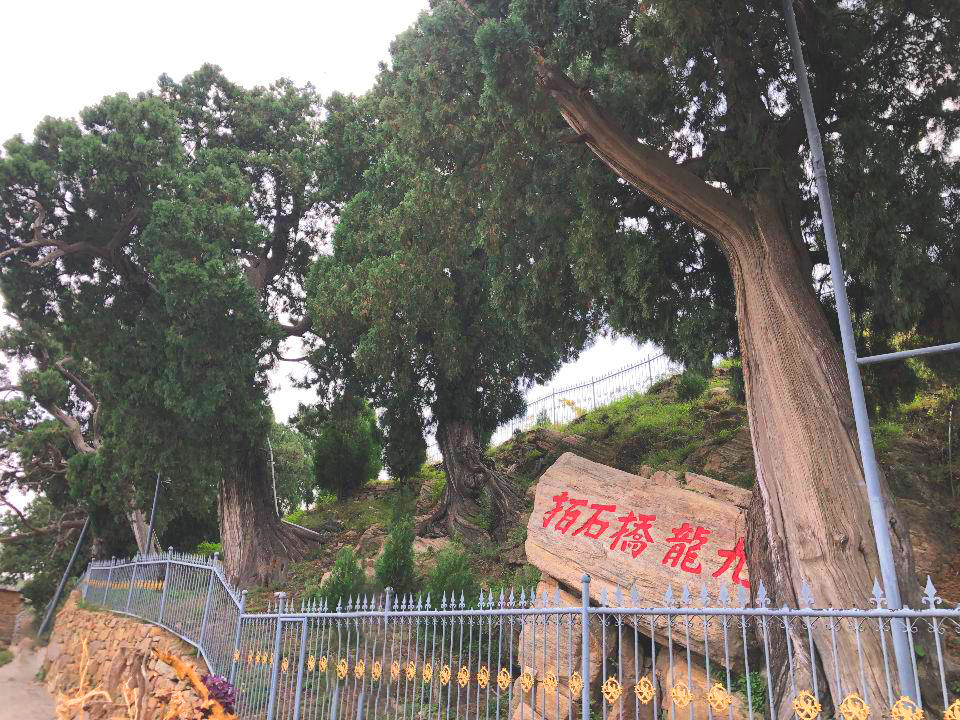 扁鹊庙