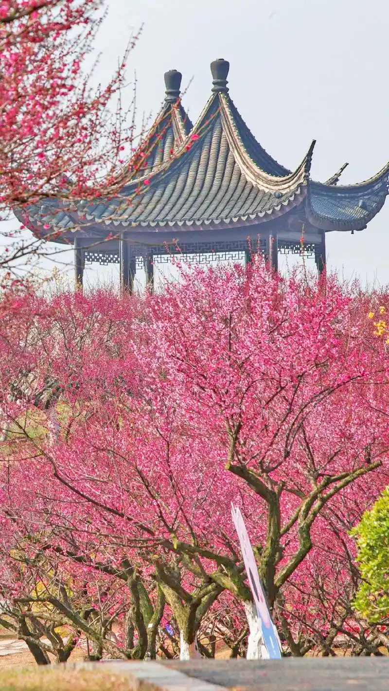 香山