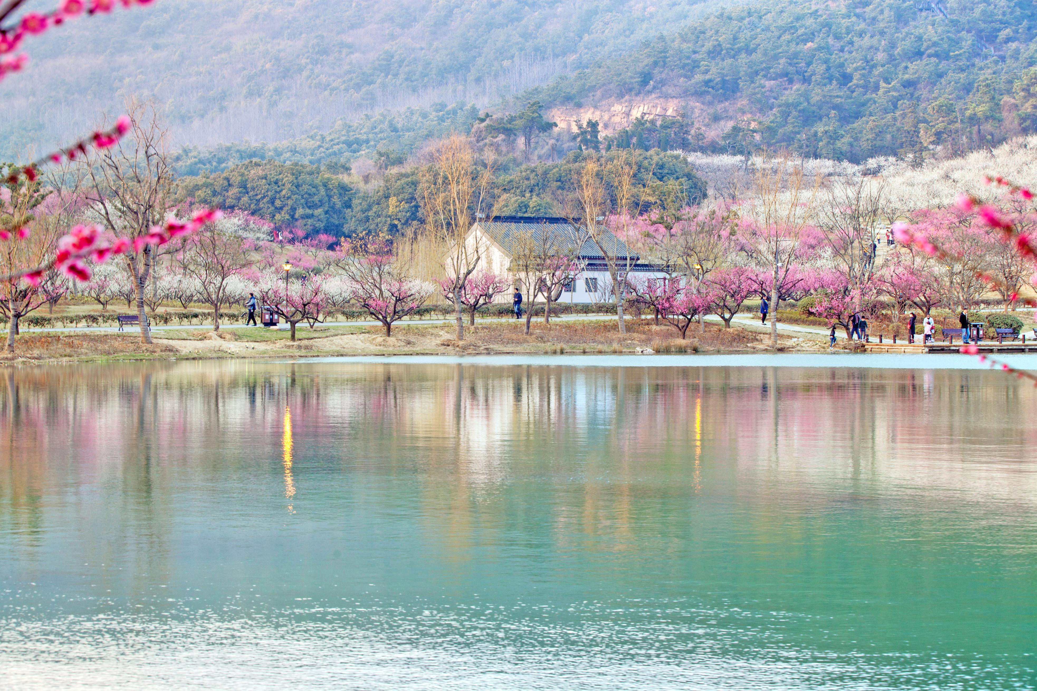 香山