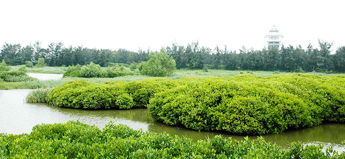 海上田园旅游区