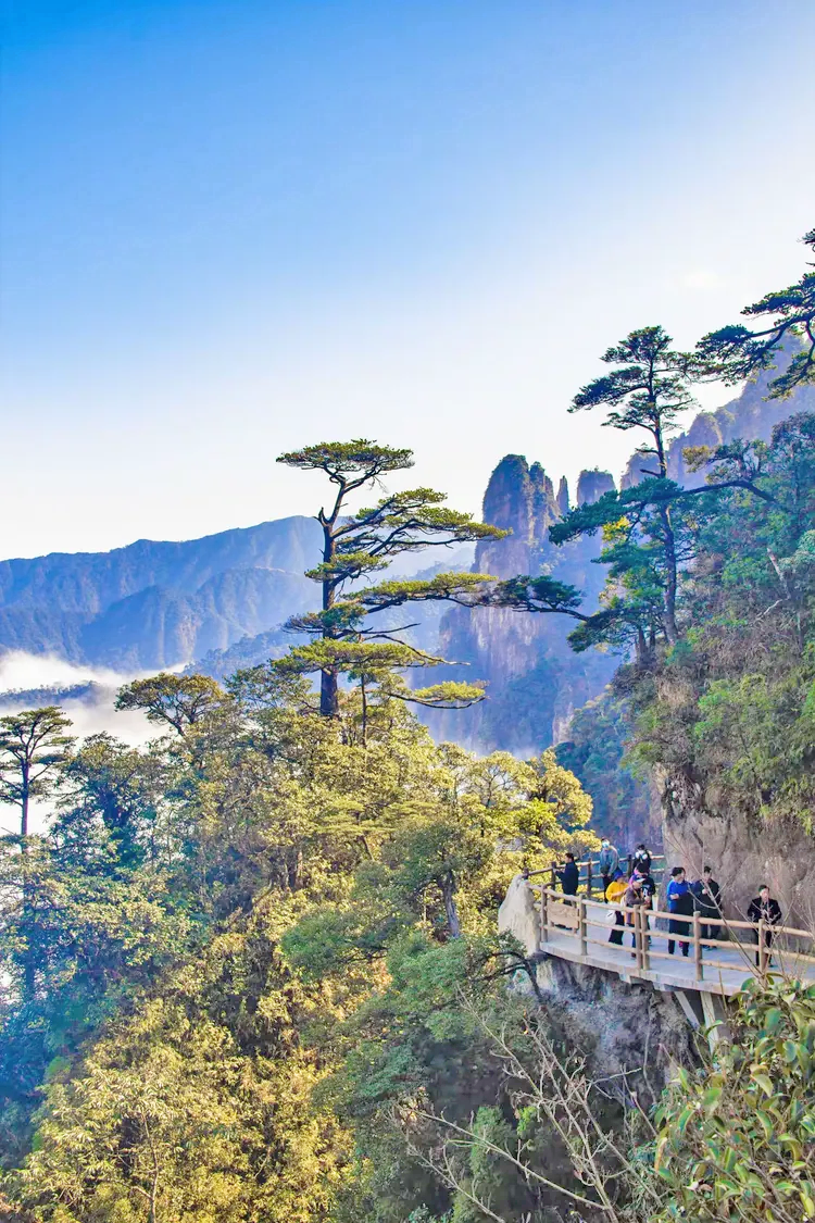 莽山