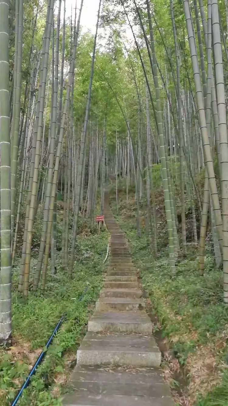 百丈山