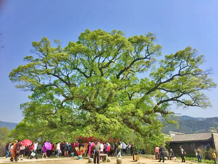 安义古村群