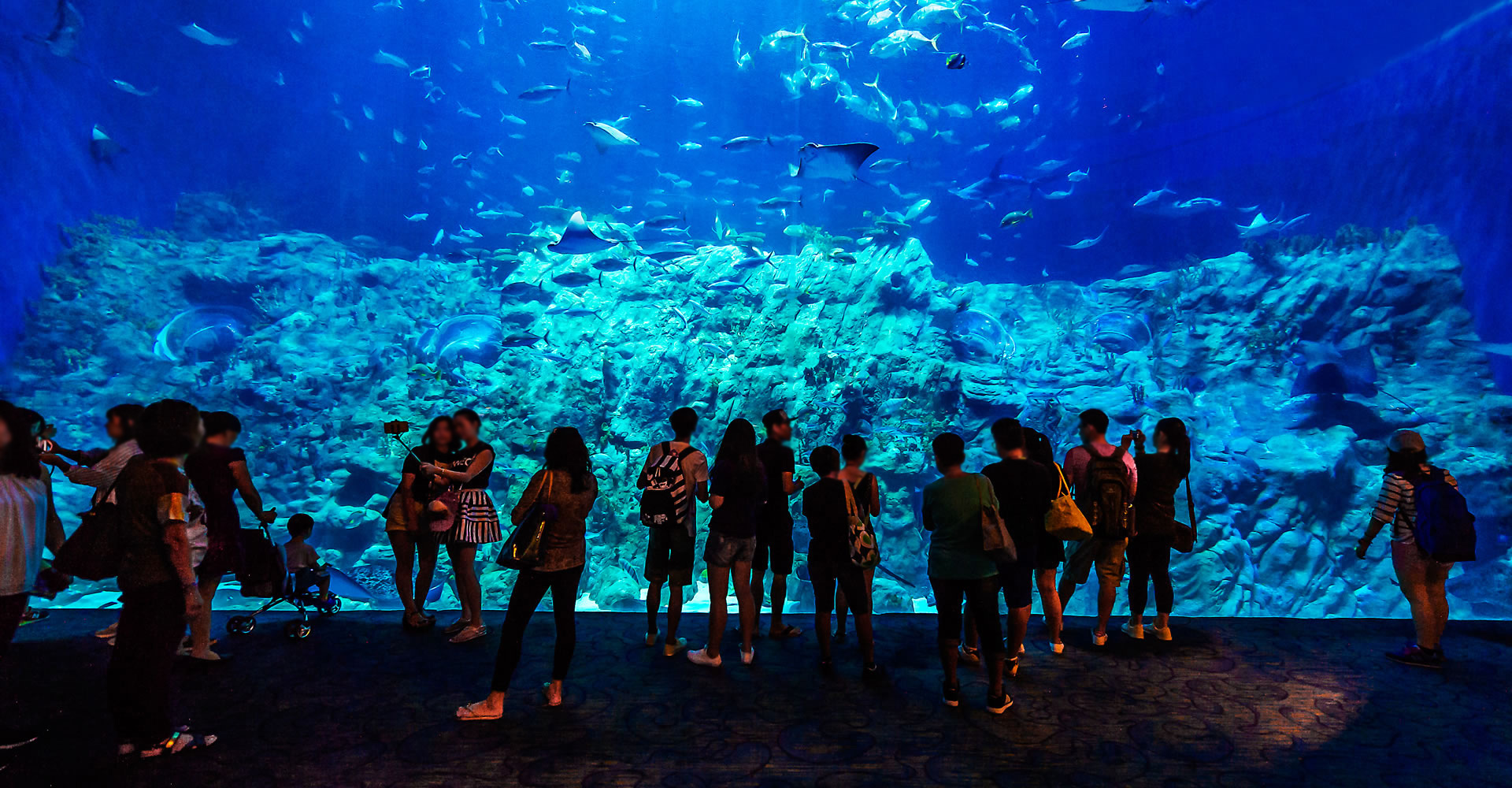 香港海洋公园