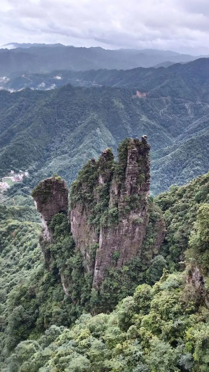 莲花山