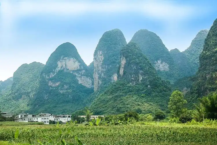 莲花山