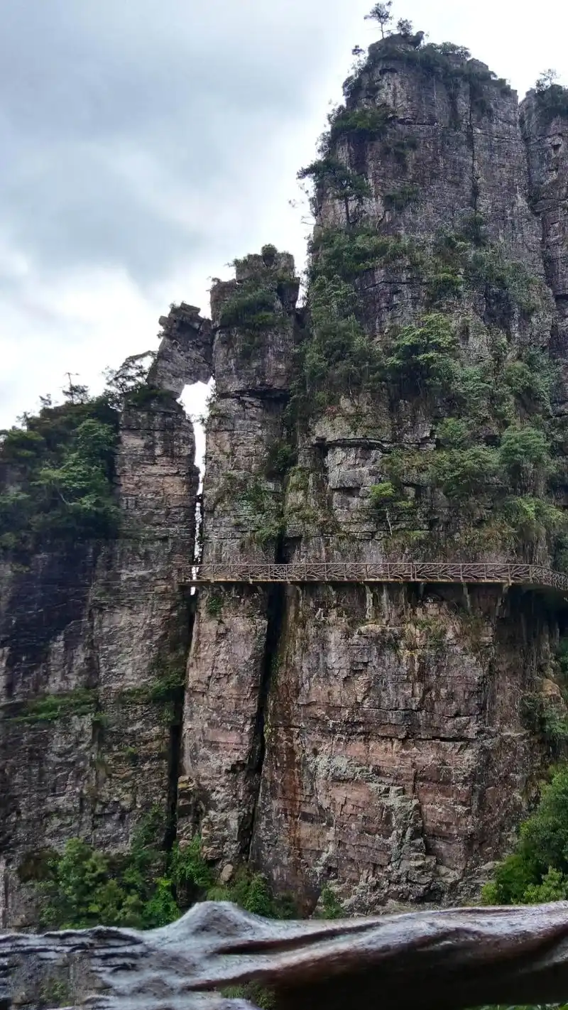 莲花山