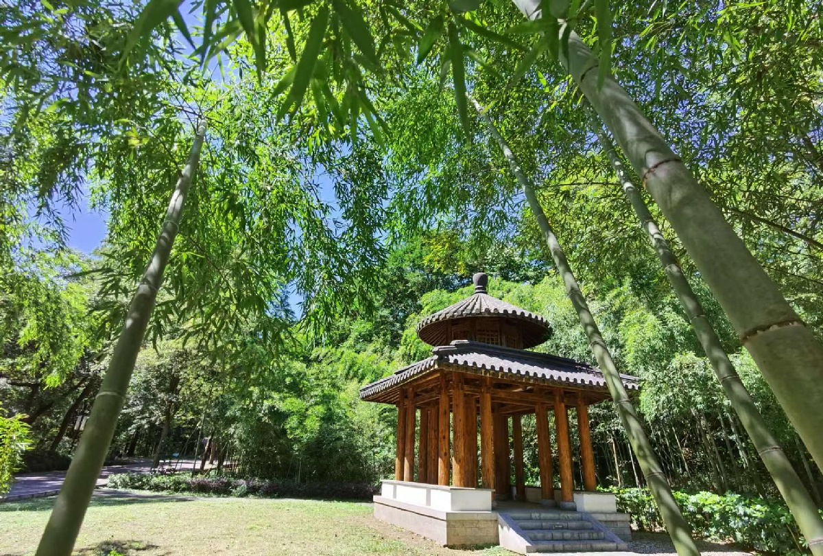 琅琊山