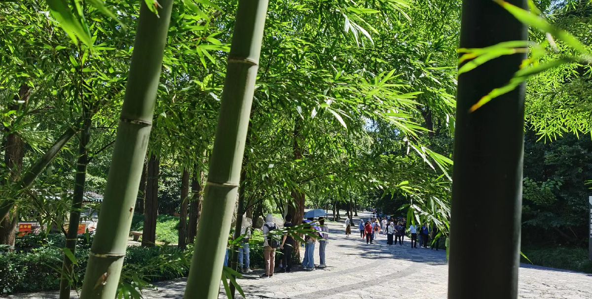 琅琊山