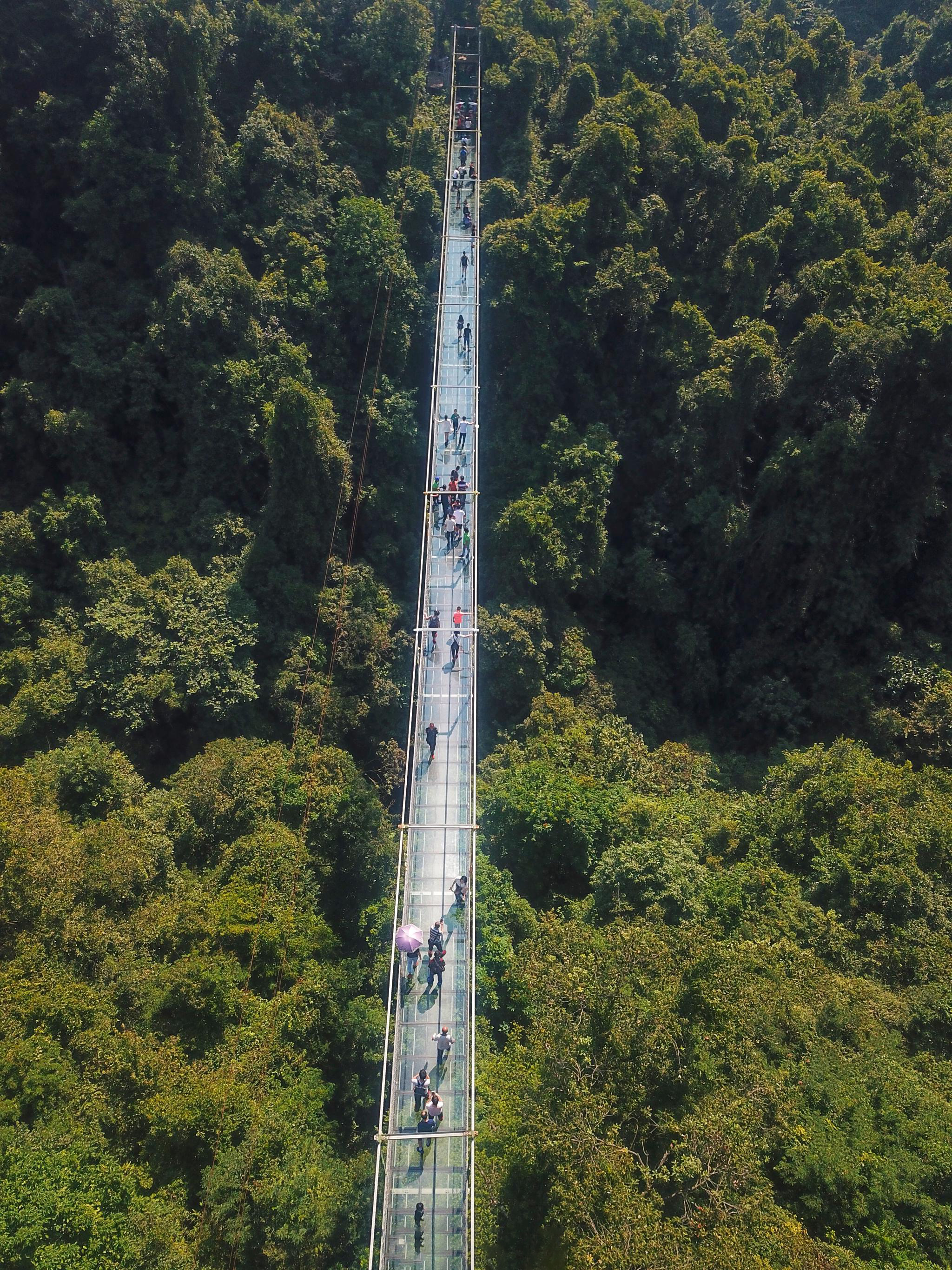 双龙沟