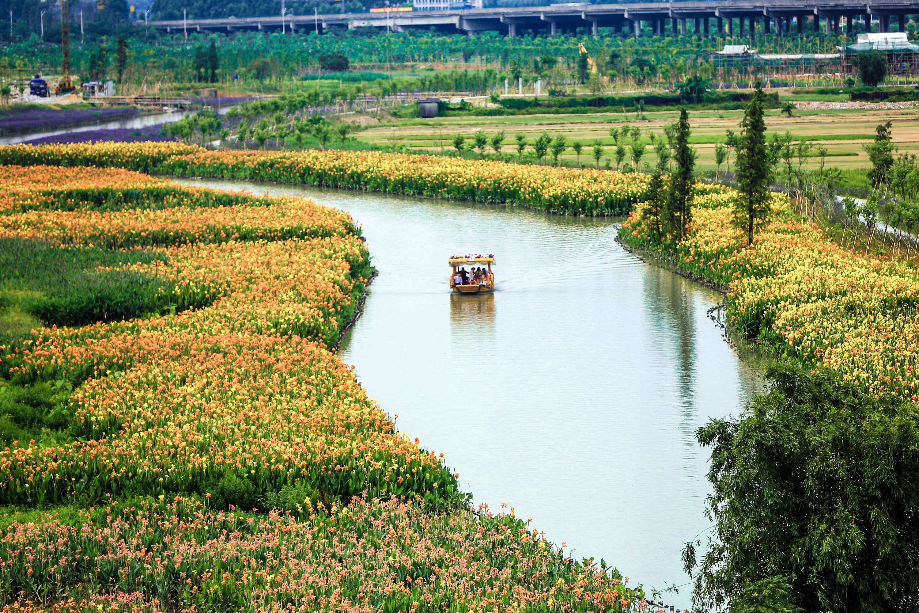 华阳湖湿地公园