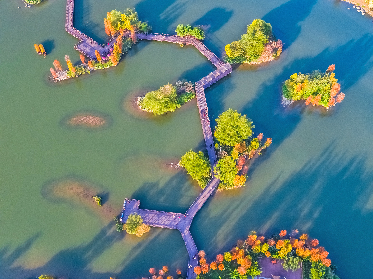 海珠湿地公园