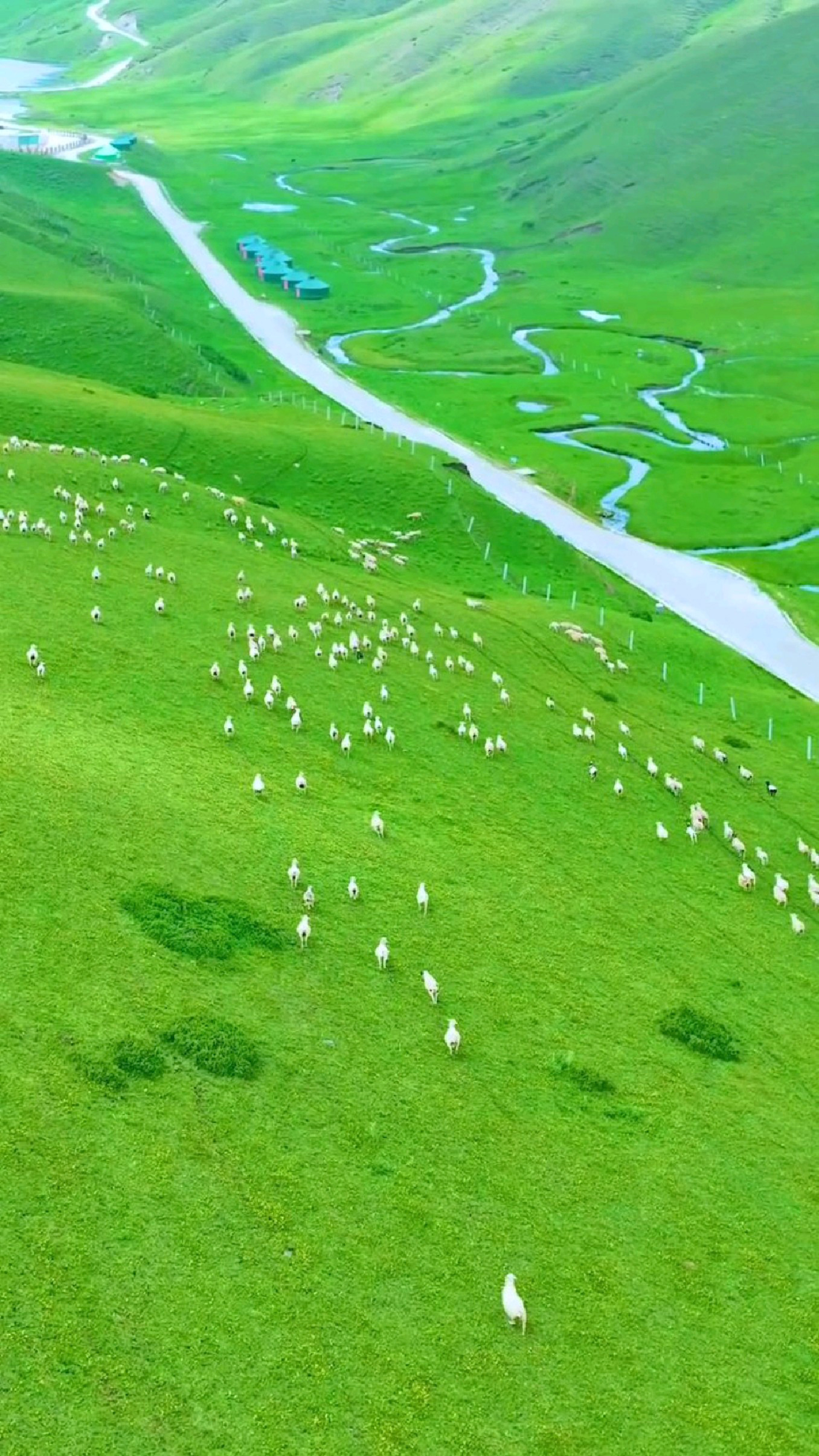 大海草山