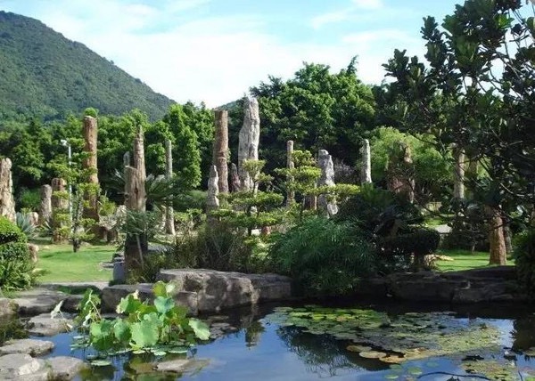 仙湖植物园