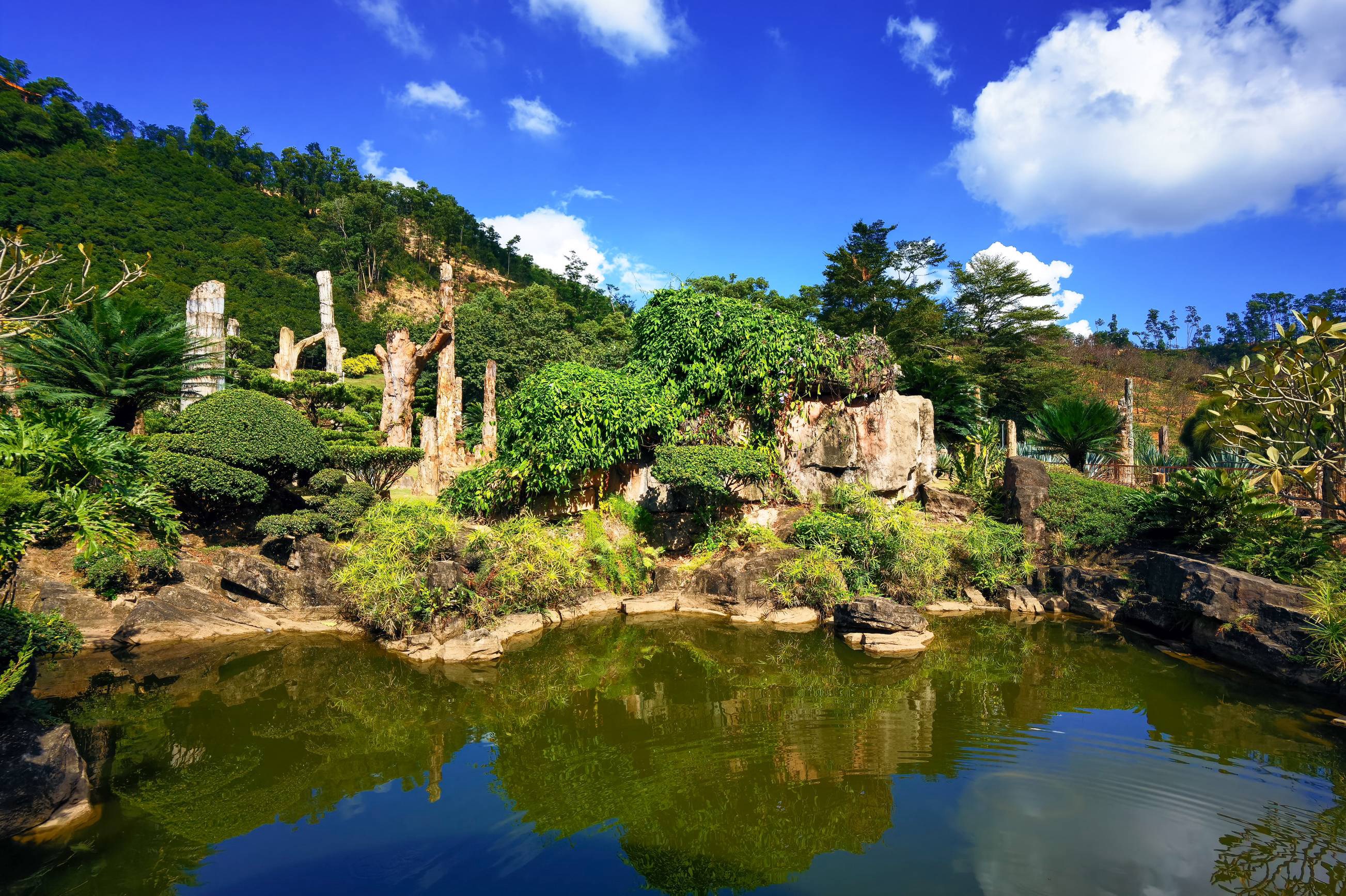 仙湖植物园