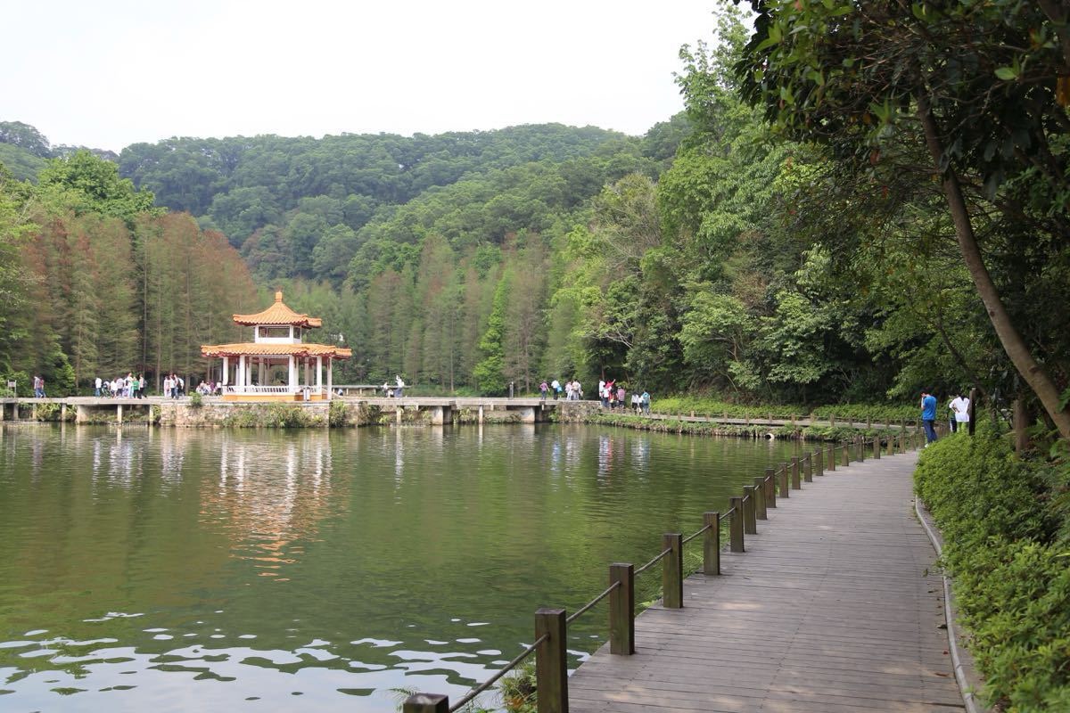 仙湖植物园
