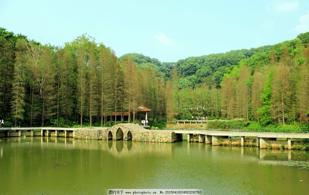 仙湖植物园
