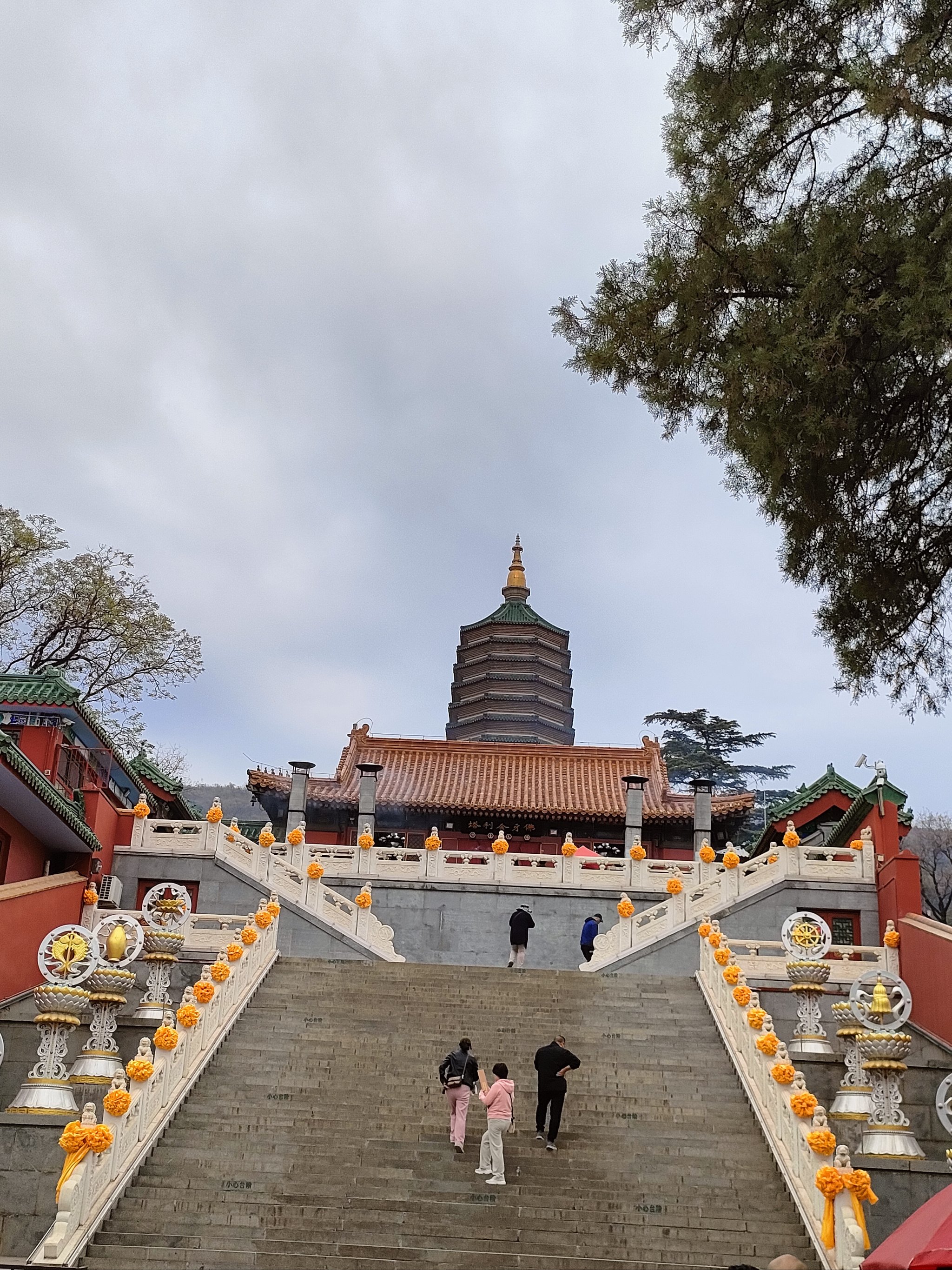 八大处公园