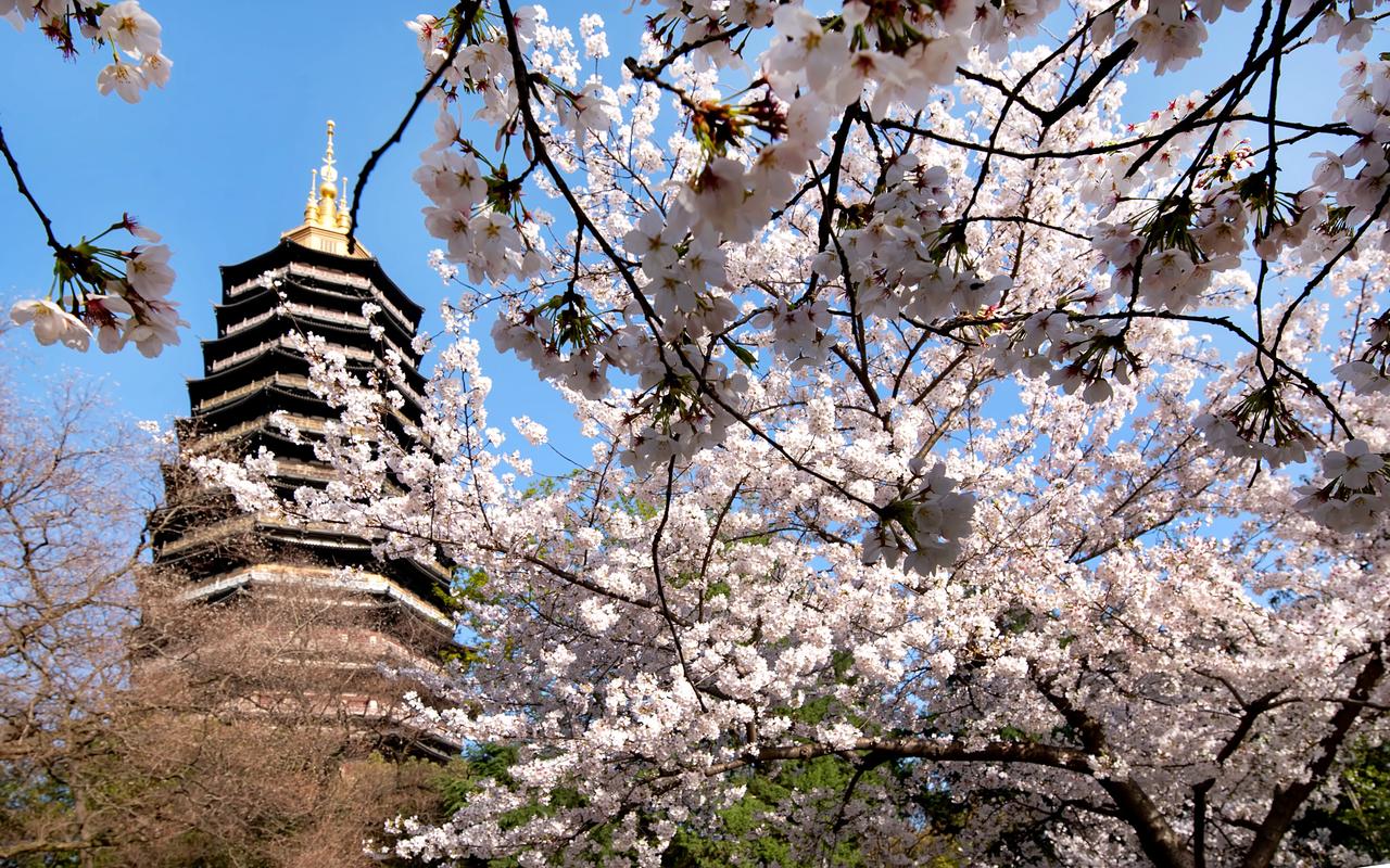 红梅公园