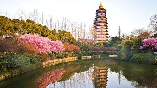红梅公园