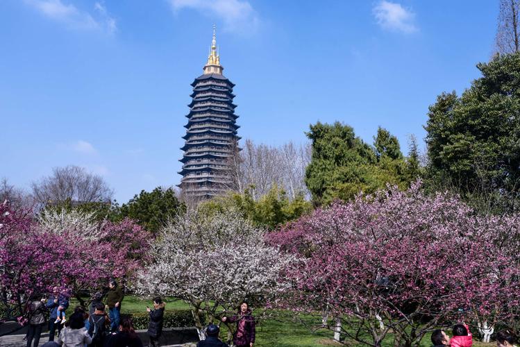 红梅公园